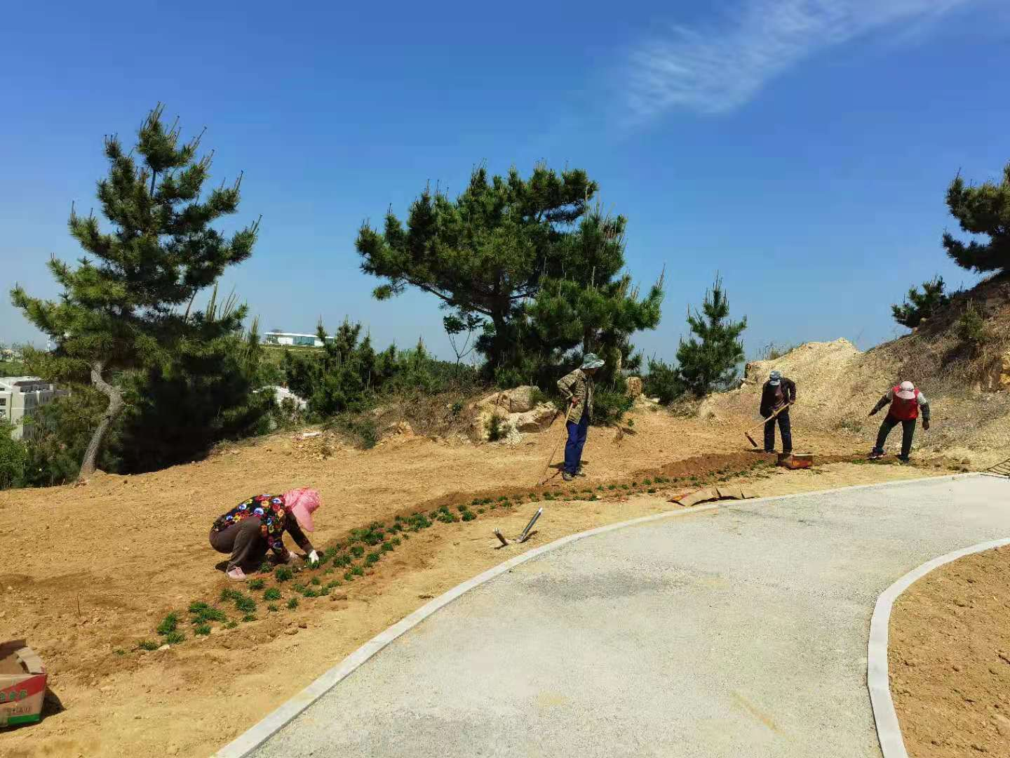 圖片8.png 圖片8.png